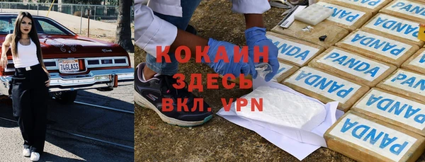 индика Баксан