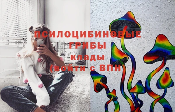 индика Баксан