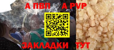 стаф Брянск