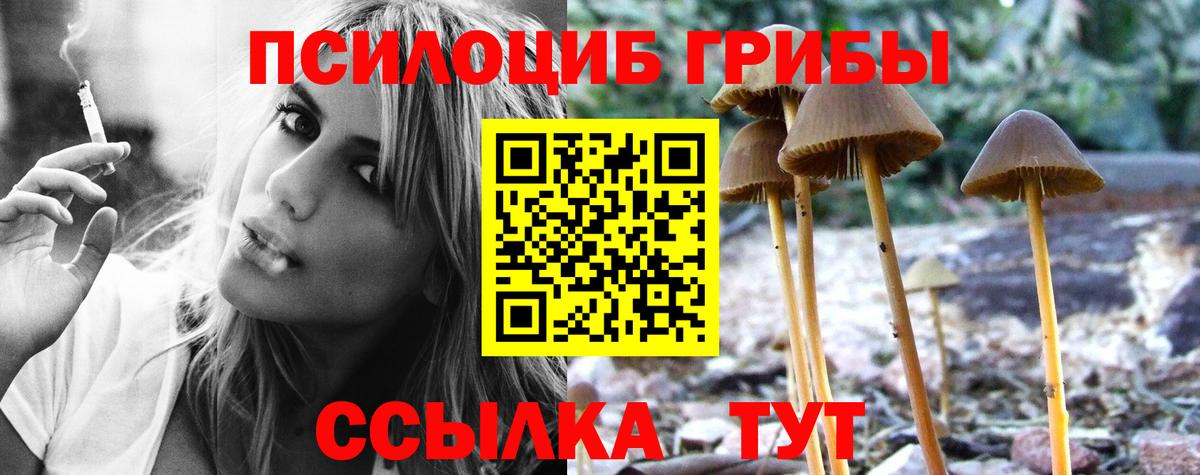 Великий Устюг  где можно купить наркотик  Вход с VPN  Галлюциногенные грибы Magic Shrooms 