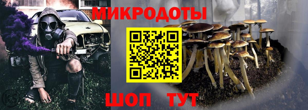 Галлюциногенные грибы Psilocybine cubensis Великий Устюг